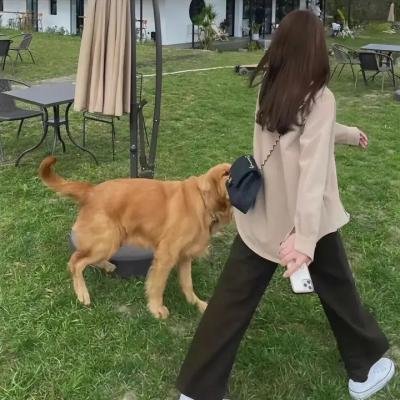 谎话连篇